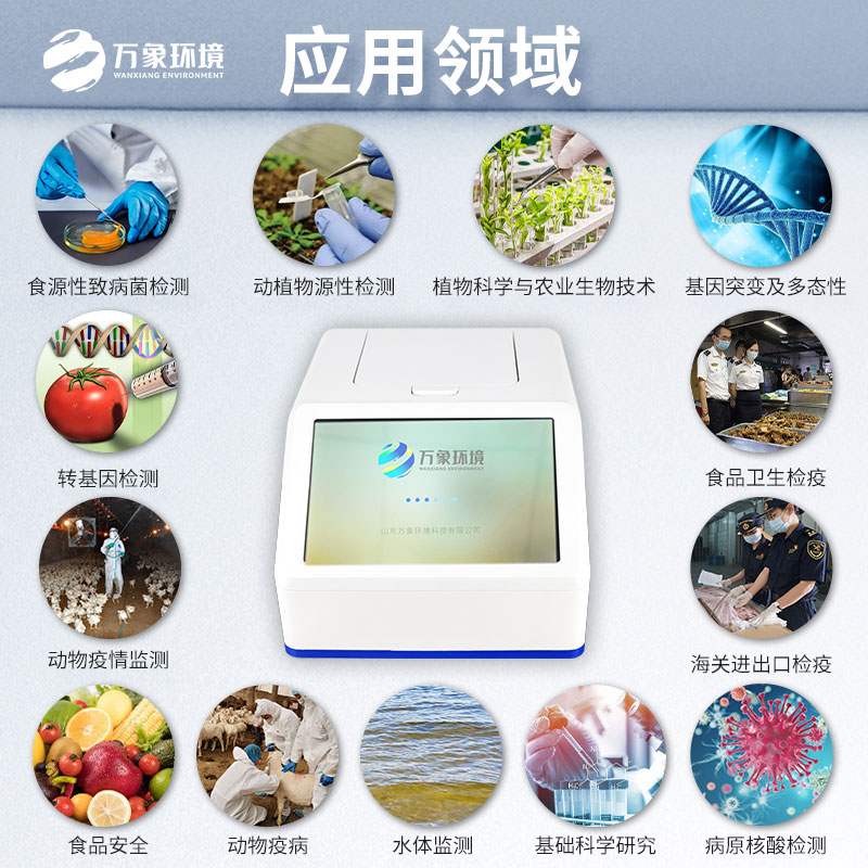 1729133994350797.jpg 4.jpg