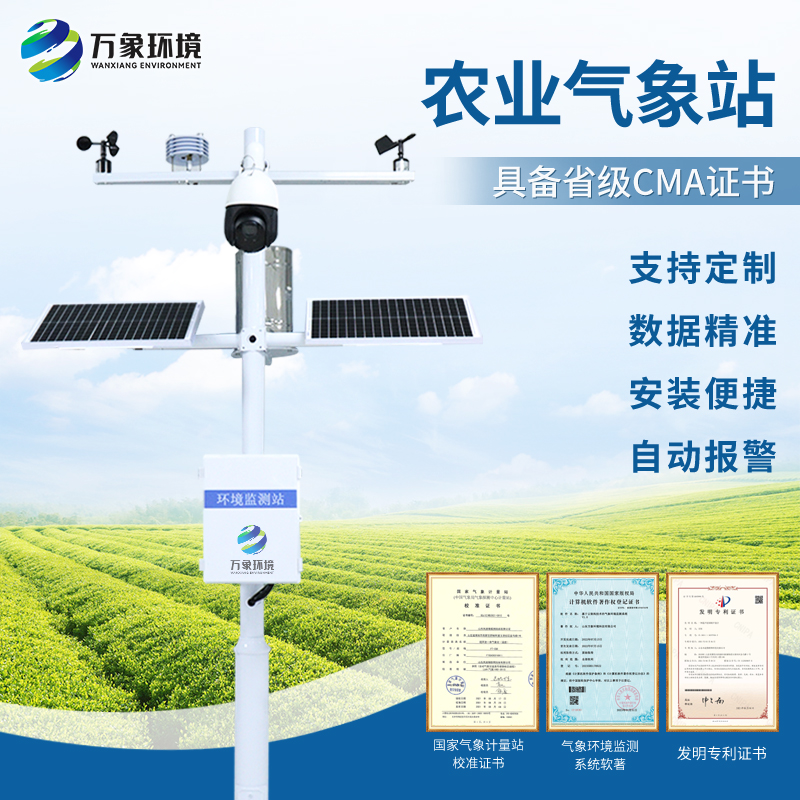 1735526410861159.jpg 主圖1-.jpg